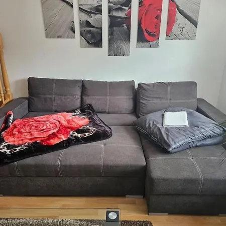 Apartment Cozy And Quite Near Black Forest