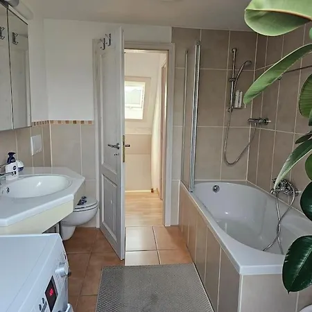 Cozy And Quite Near Black Forest Schoemberg (Calw)