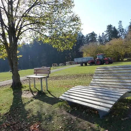 Cozy And Quite Near Black Forest