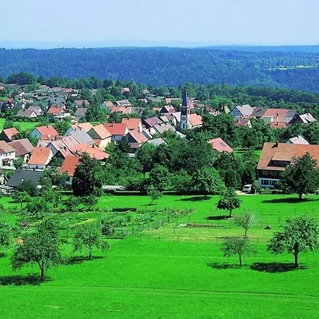 Cozy And Quite Near Black Forest Apartment